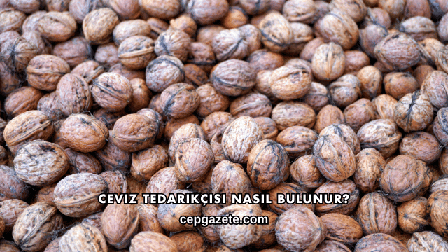 Ceviz Tedarikçisi Nasıl Bulunur?