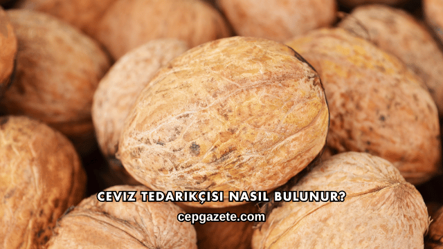 Ceviz Tedarikçisi Nasıl Bulunur?
