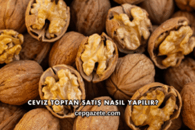 Ceviz Toptan Satış Nasıl Yapılır?