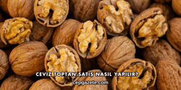 Ceviz Toptan Satış Nasıl Yapılır?