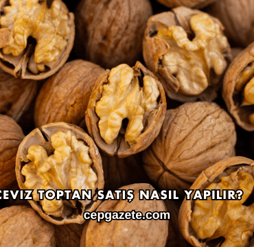 Ceviz Toptan Satış Nasıl Yapılır?