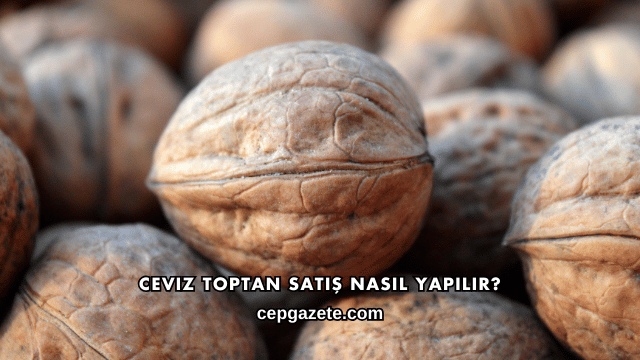 Ceviz Toptan Satış Nasıl Yapılır?