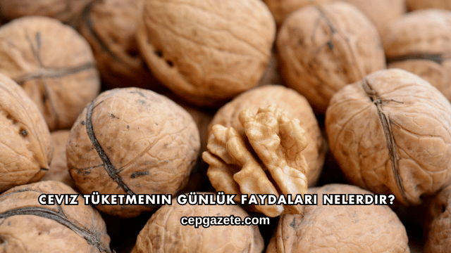 Ceviz Tüketmenin Günlük Faydaları Nelerdir?