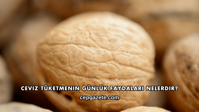 Ceviz Tüketmenin Günlük Faydaları Nelerdir?