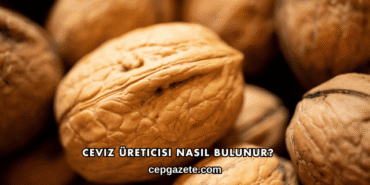 Ceviz Üreticisi Nasıl Bulunur?