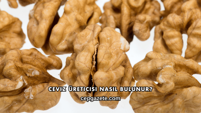 Ceviz Üreticisi Nasıl Bulunur?