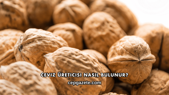 Ceviz Üreticisi Nasıl Bulunur?