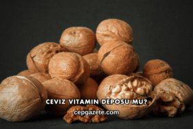 Ceviz Vitamin Deposu mu?