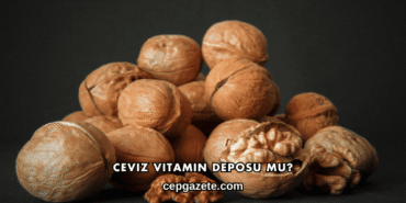 Ceviz Vitamin Deposu mu?