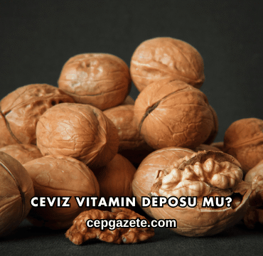 Ceviz Vitamin Deposu mu?