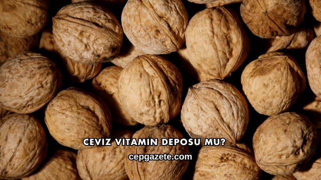 Ceviz Vitamin Deposu mu?
