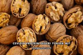 Cevizin Protein Değeri Yüksek mi?