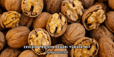 Cevizin Protein Değeri Yüksek mi?