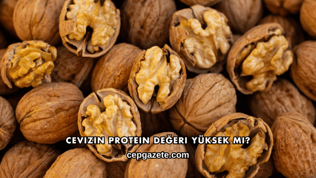 Cevizin Protein Değeri Yüksek mi?