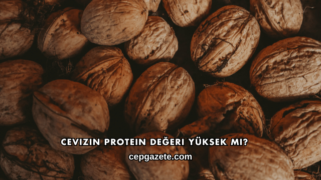 Cevizin Protein Değeri Yüksek mi?