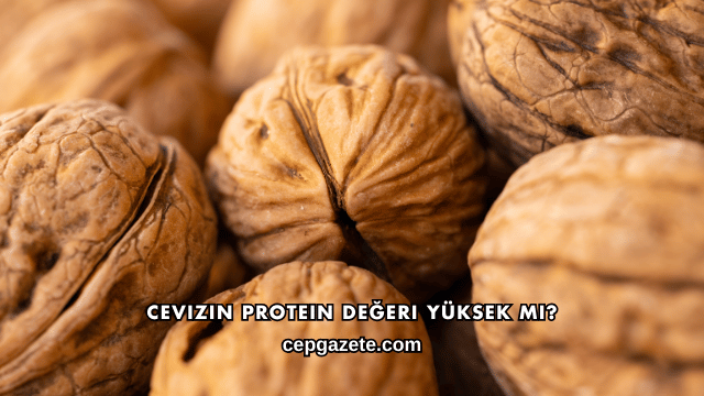 Cevizin Protein Değeri Yüksek mi?